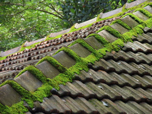 Démoussage de toiture dans l'Ariège